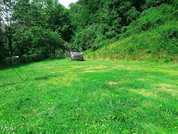 2 Acres of Residential Land for Sale in Birchleaf, Virginia