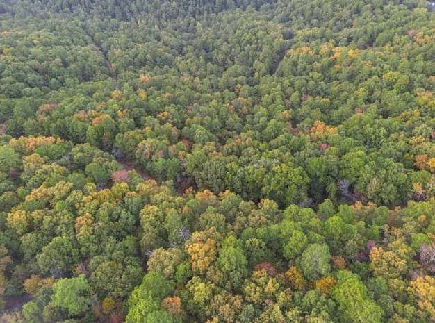 0.31 Acres of Residential Land for Sale in Hot Springs Village, Arkansas