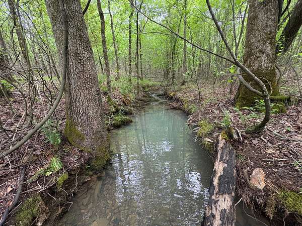 87.5 Acres of Recreational Land for Sale in Caddo Gap, Arkansas