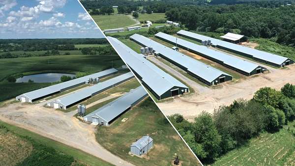 25 Acres of Agricultural & Residential Land for Sale in Baileyton, Alabama
