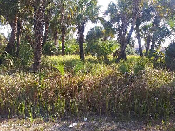 0.23 Acres of Residential Land for Sale in Palm Bay, Florida