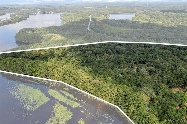 58.4 Acres of Land for Sale in Floral City, Florida