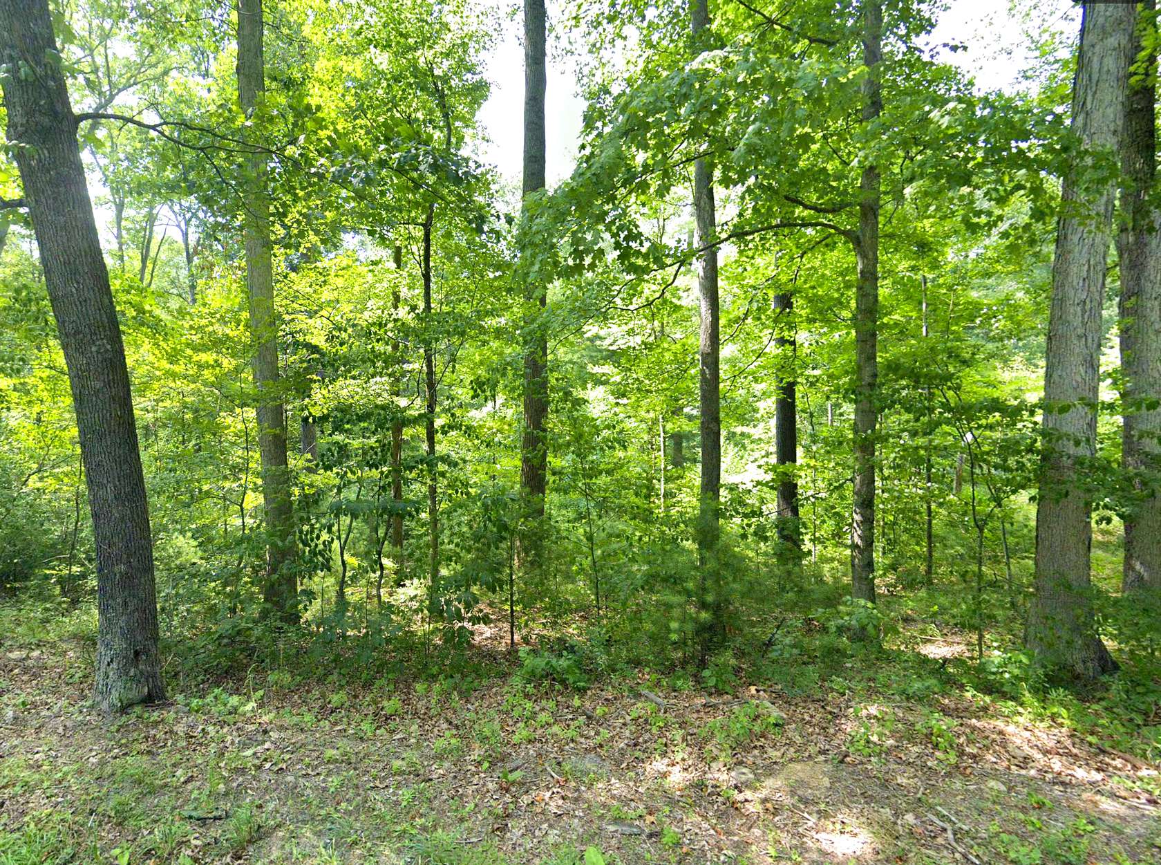 3.26 Acres of Residential Land for Sale in Augusta, West Virginia