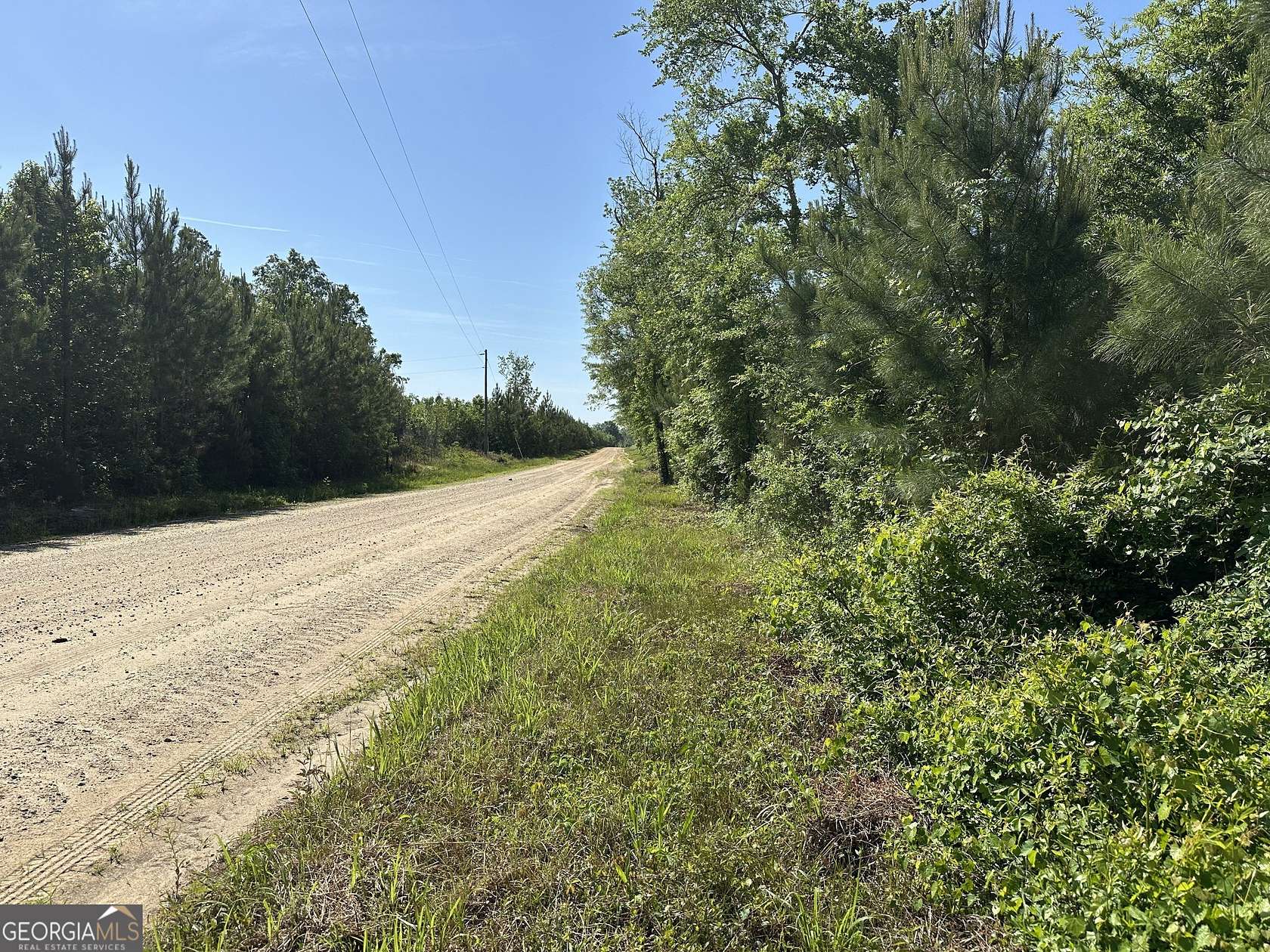 32 Acres of Recreational Land for Sale in Waynesboro, Georgia