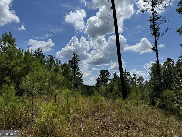 12.2 Acres of Land for Sale in Bankston, Alabama