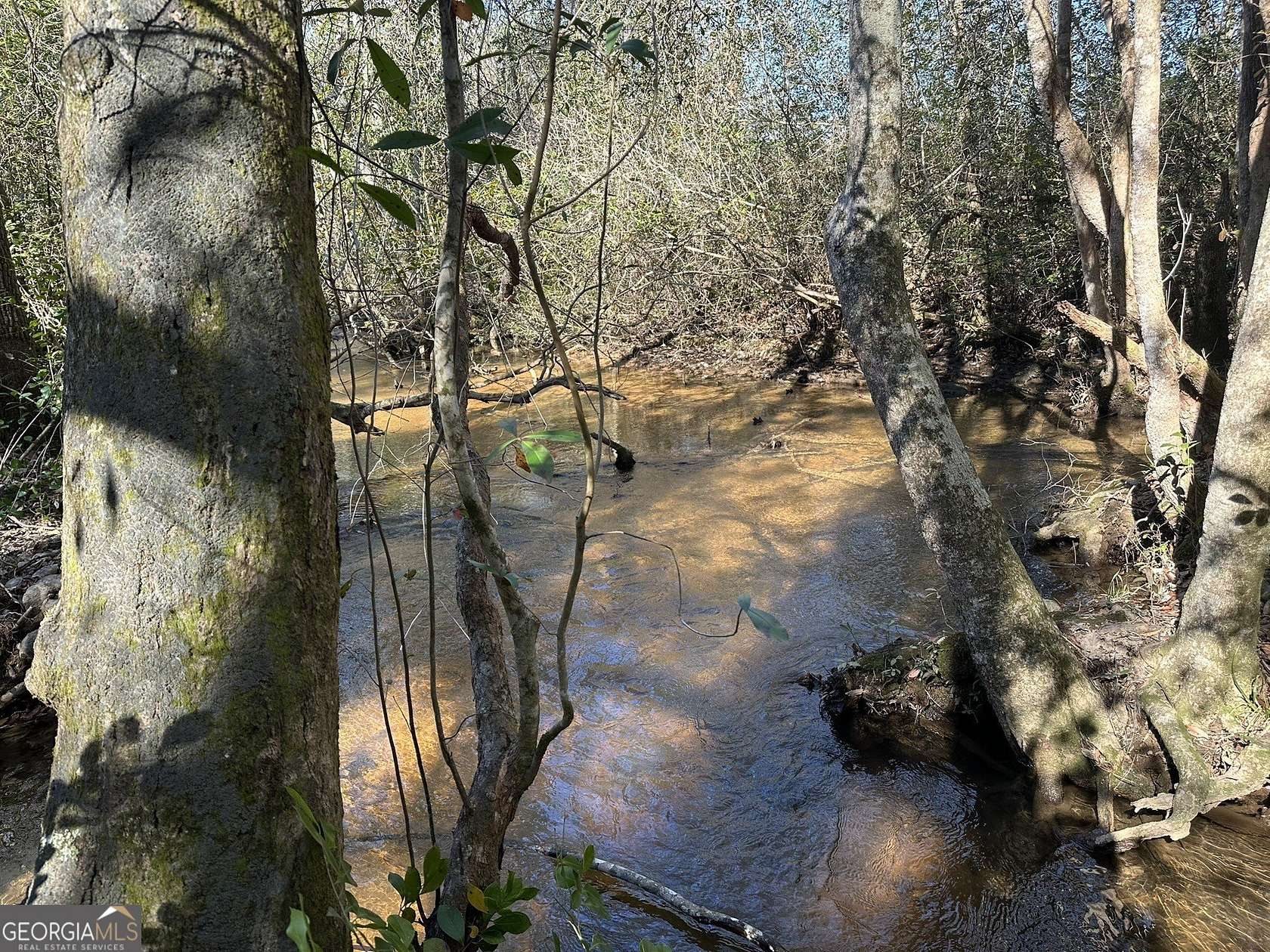 115 Acres of Recreational Land & Farm for Sale in Butler, Georgia