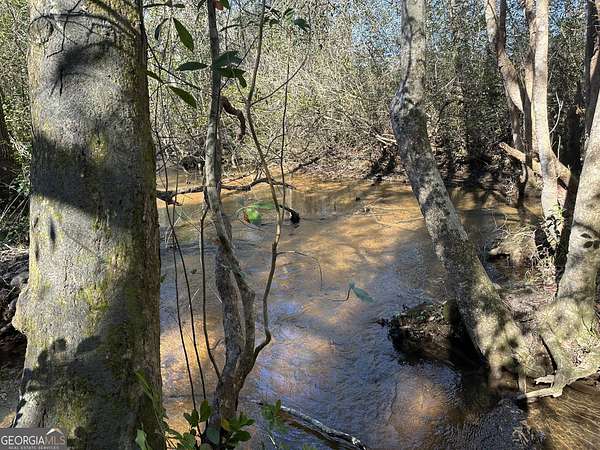 115 Acres of Recreational Land & Farm for Sale in Butler, Georgia