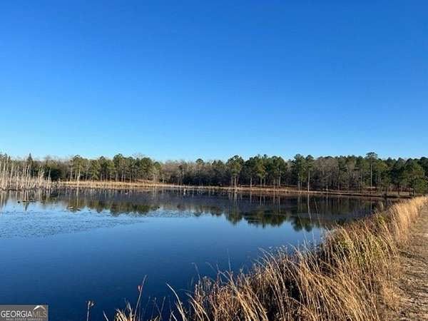 12.8 Acres of Recreational Land for Sale in Butler, Georgia