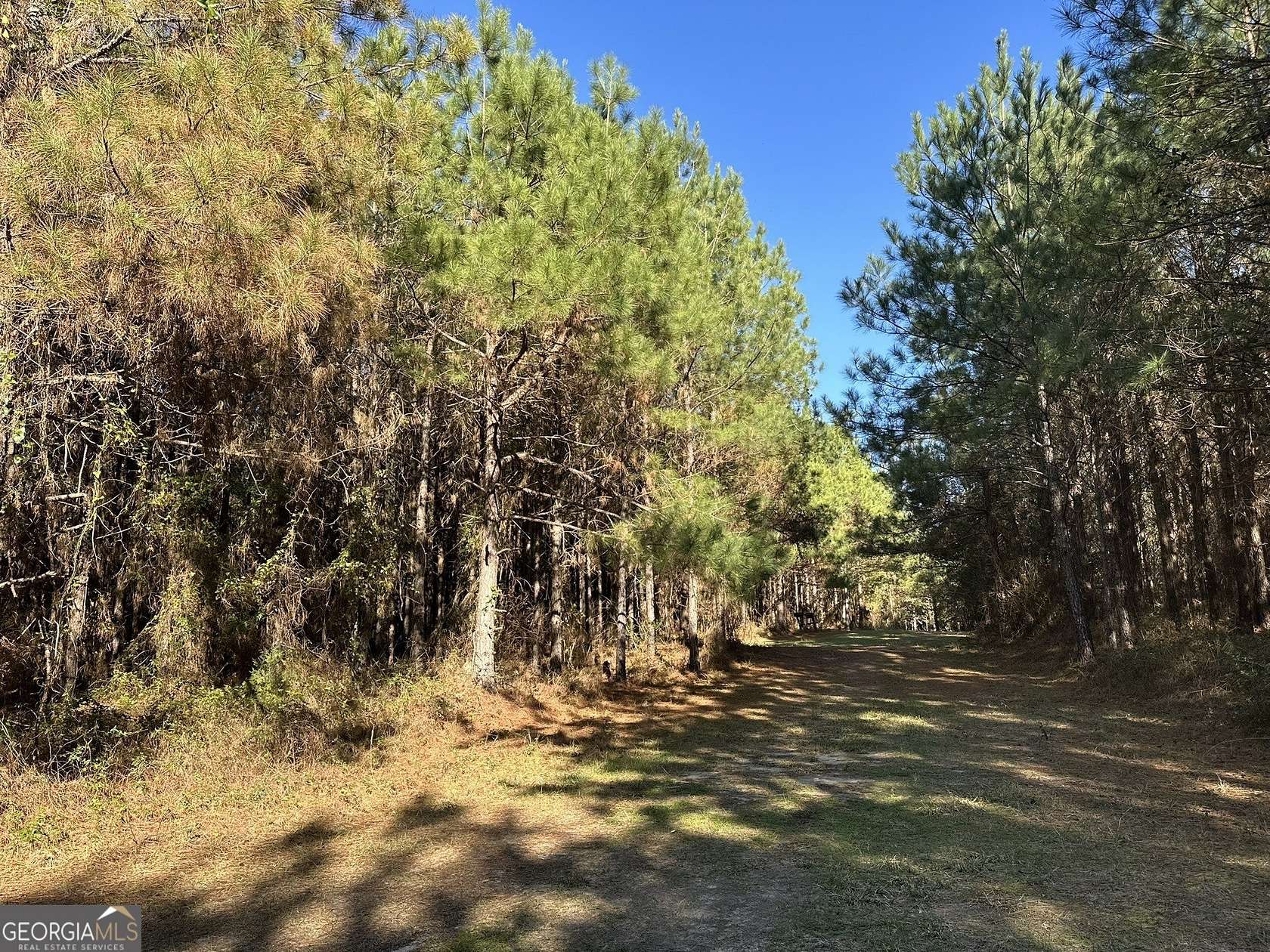21.4 Acres of Recreational Land for Sale in Gordon, Alabama