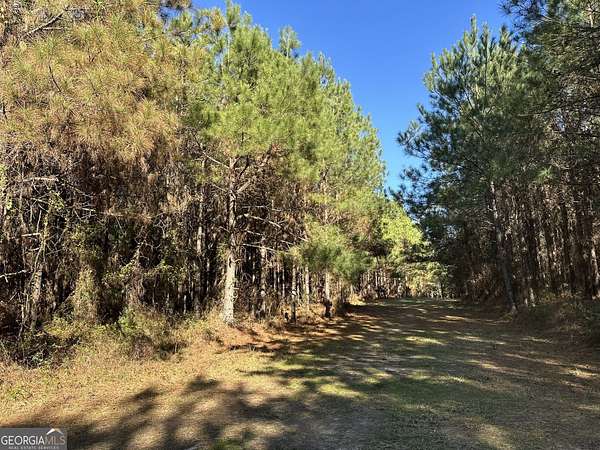 21.4 Acres of Recreational Land for Sale in Gordon, Alabama