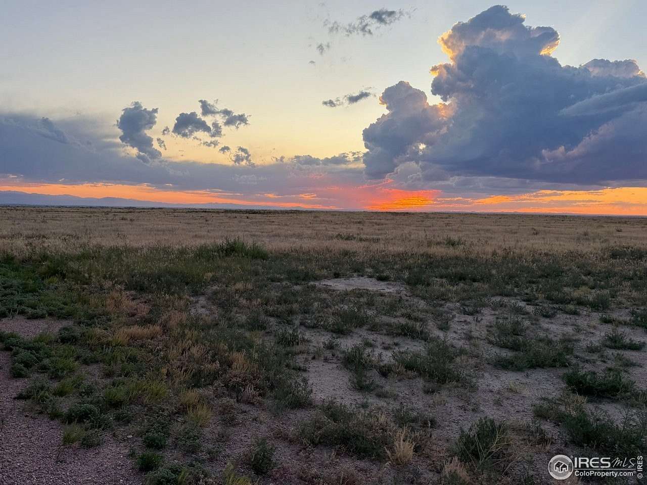 35.4 Acres of Land for Sale in Ault, Colorado