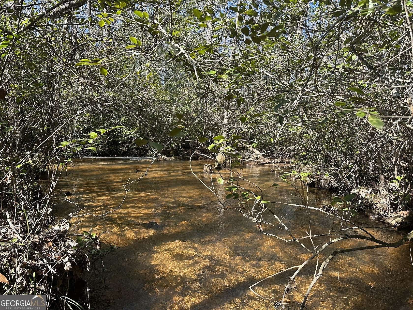 120 Acres of Recreational Land & Farm for Sale in Butler, Georgia