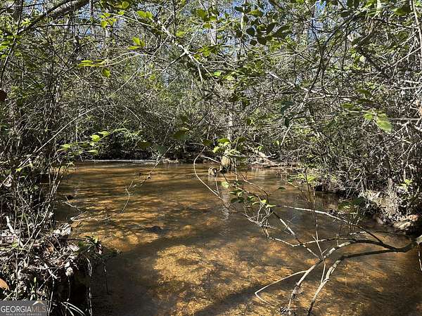 120 Acres of Recreational Land & Farm for Sale in Butler, Georgia