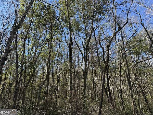 95 Acres of Recreational Land & Farm for Sale in Butler, Georgia