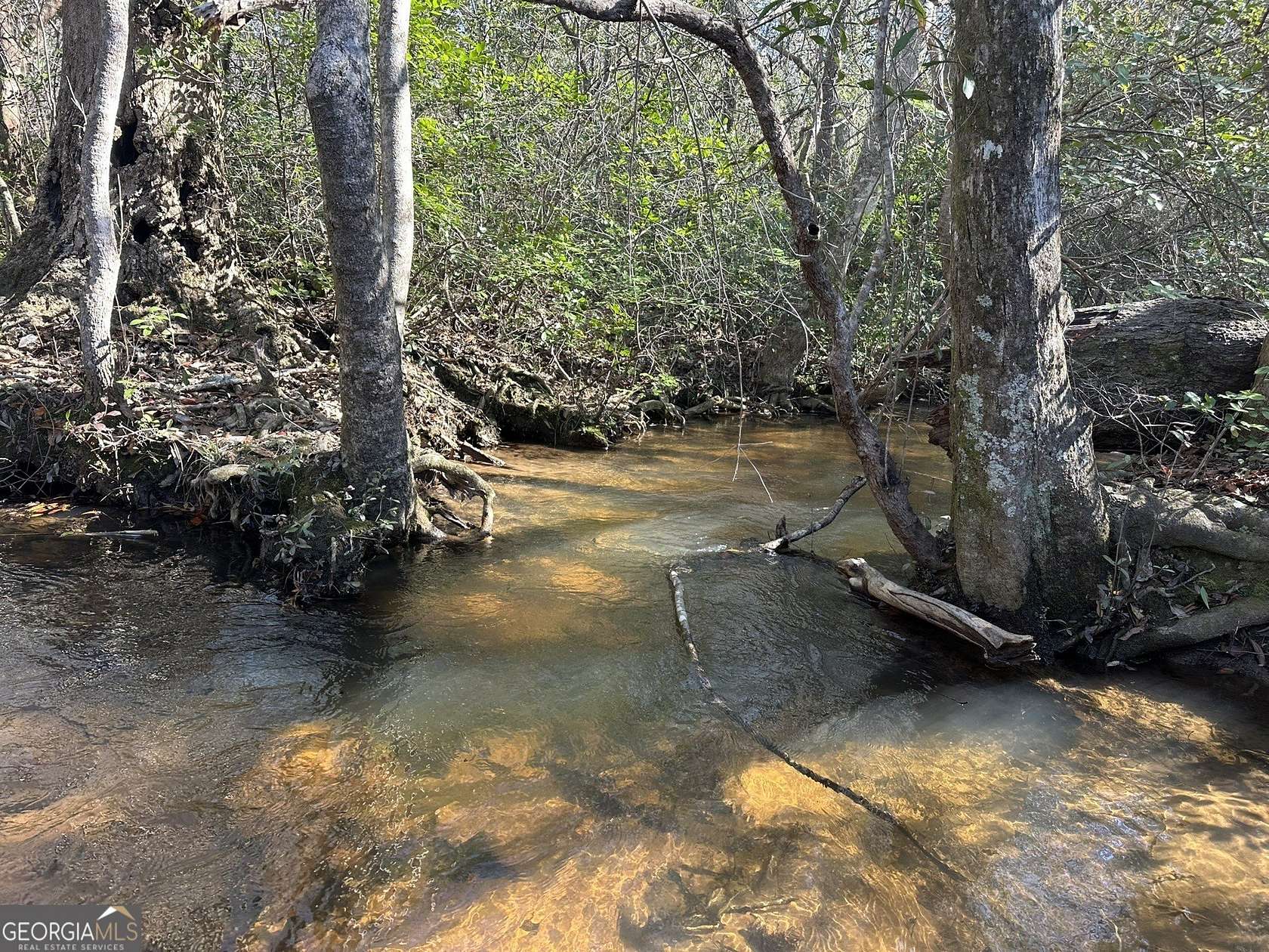 353 Acres of Recreational Land & Farm for Sale in Butler, Georgia