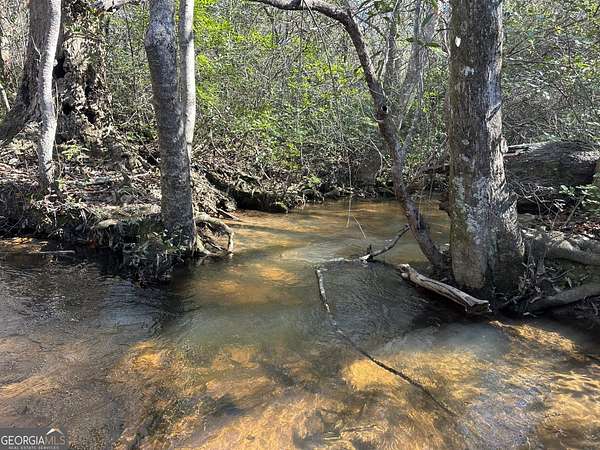 353 Acres of Recreational Land & Farm for Sale in Butler, Georgia