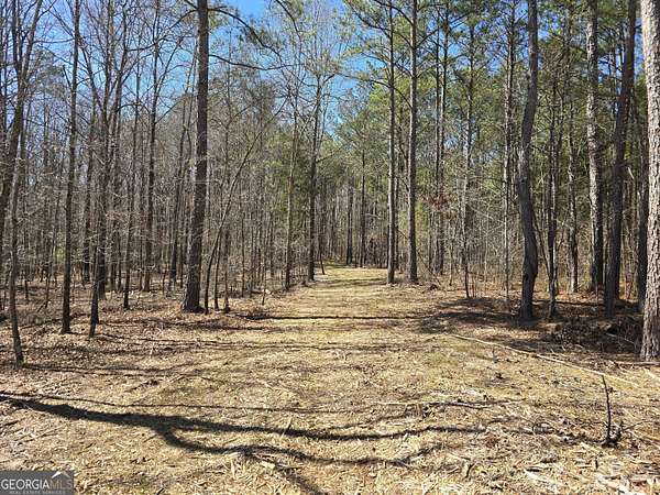 25.2 Acres of Recreational Land for Sale in Zebulon, Georgia