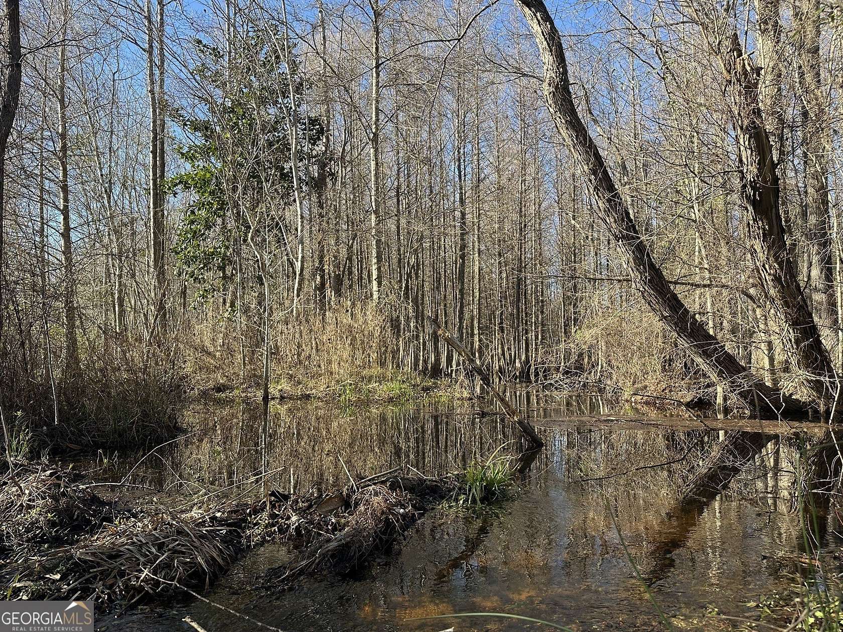 21.8 Acres of Agricultural Land for Sale in Gordon, Alabama