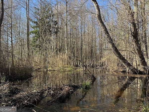 21.8 Acres of Agricultural Land for Sale in Gordon, Alabama