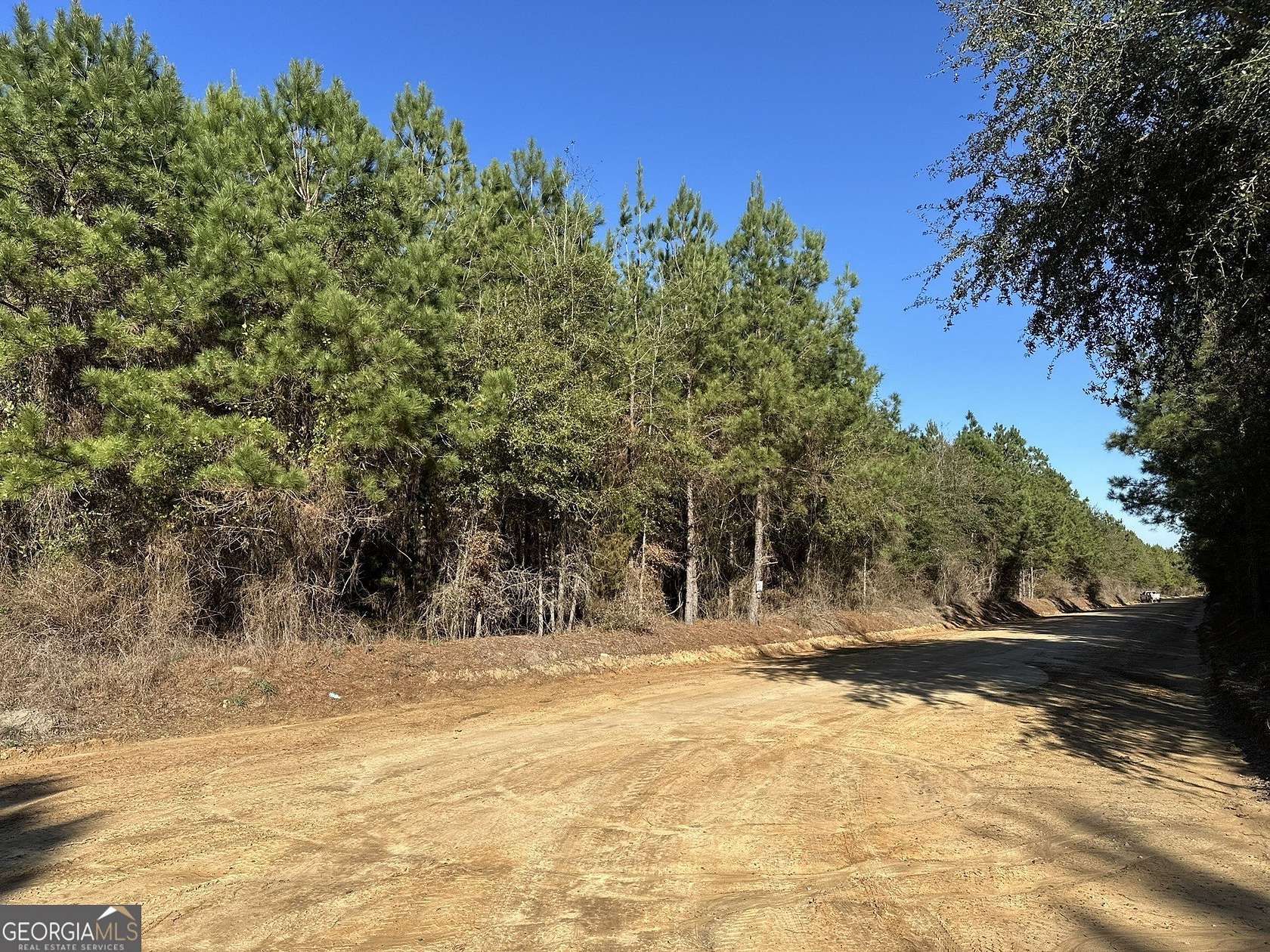 5 Acres of Residential Land for Sale in Gordon, Alabama