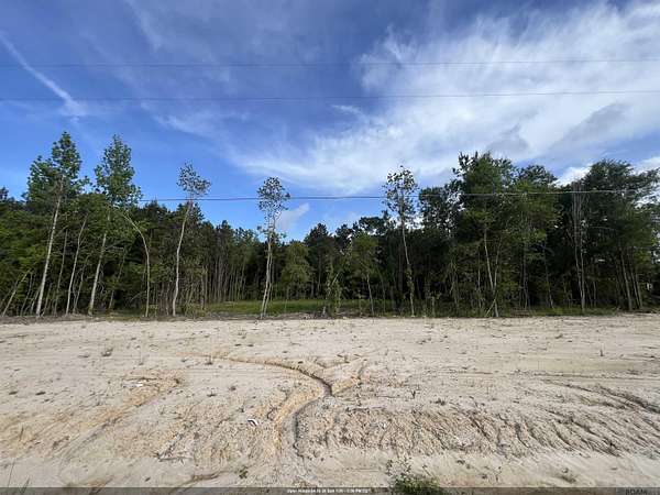 2 Acres of Residential Land for Sale in Livingston, Louisiana