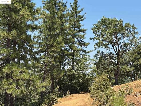 39 Acres of Recreational Land for Sale in Groveland, California