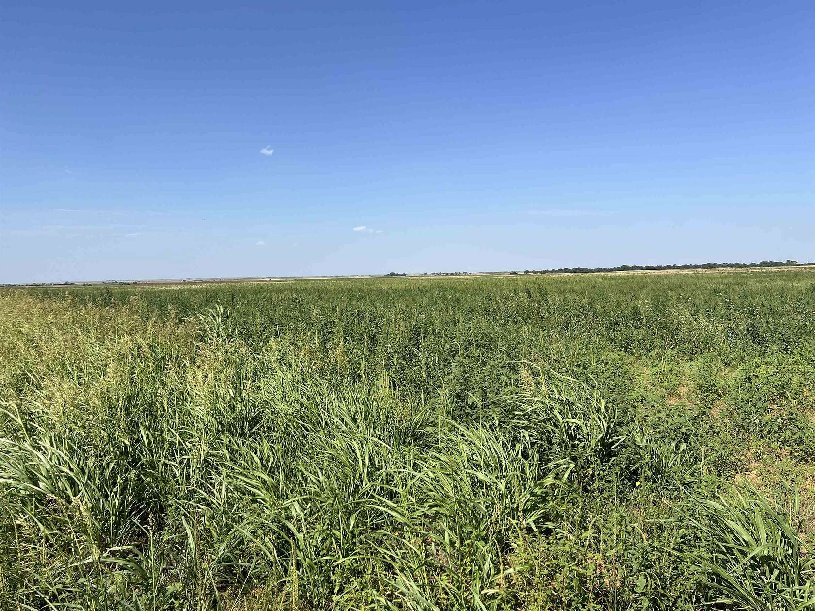10 Acres of Land for Sale in Hillsdale, Oklahoma