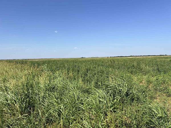 10 Acres of Land for Sale in Hillsdale, Oklahoma