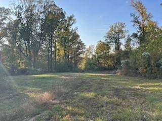 40 Acres of Recreational Land for Sale in Holcomb, Mississippi
