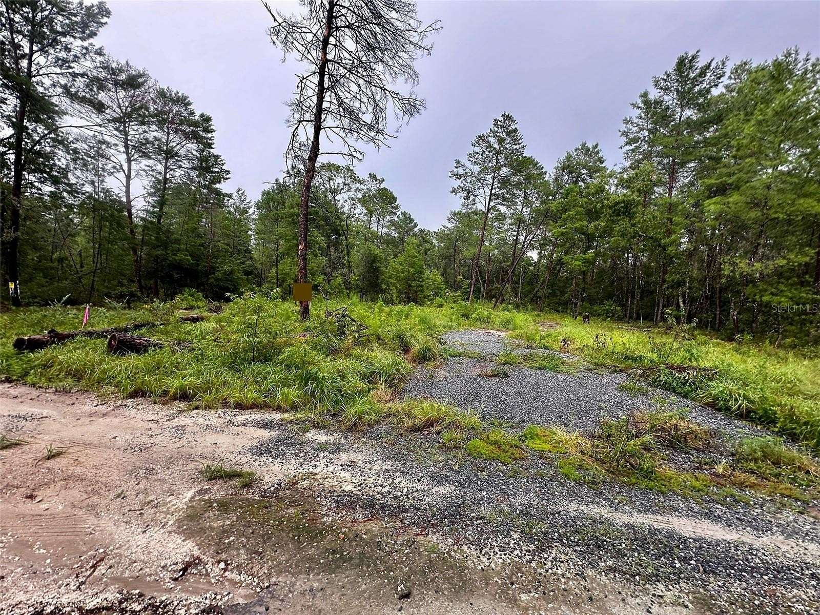 0.23 Acres of Residential Land for Sale in Fort McCoy, Florida