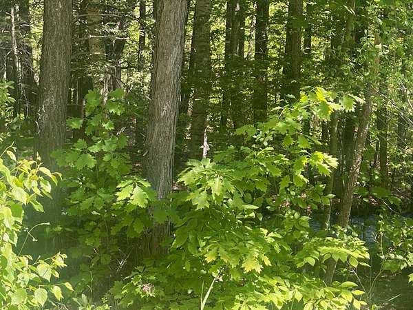 4.6 Acres of Residential Land for Sale in Springfield, New Hampshire