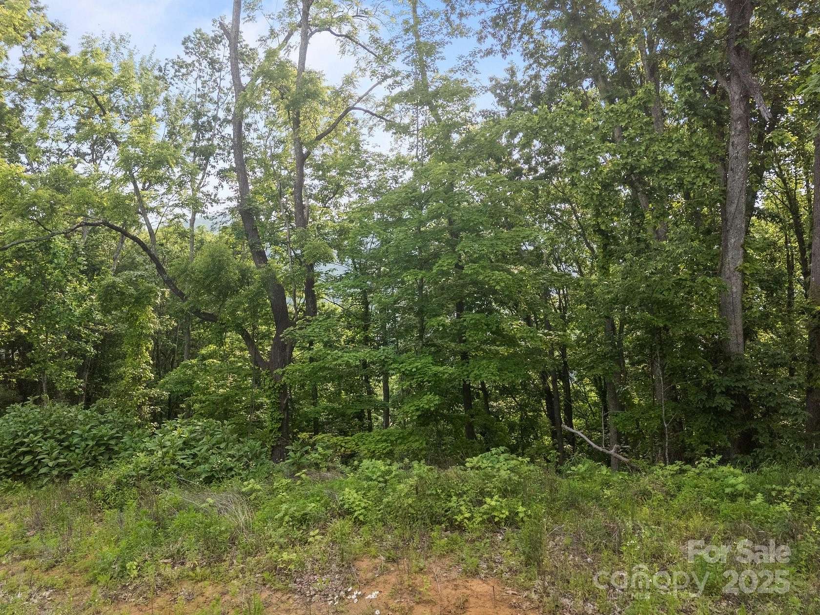 1.2 Acres of Land for Sale in Mars Hill, North Carolina