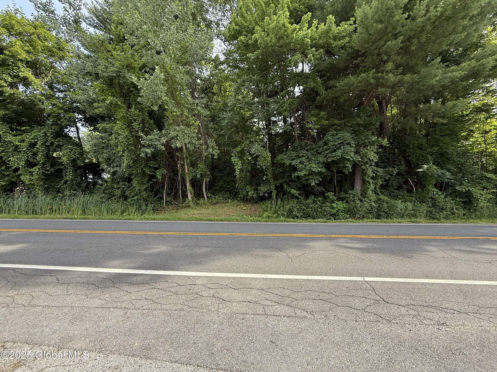 0.66 Acres of Residential Land for Sale in Schenectady, New York