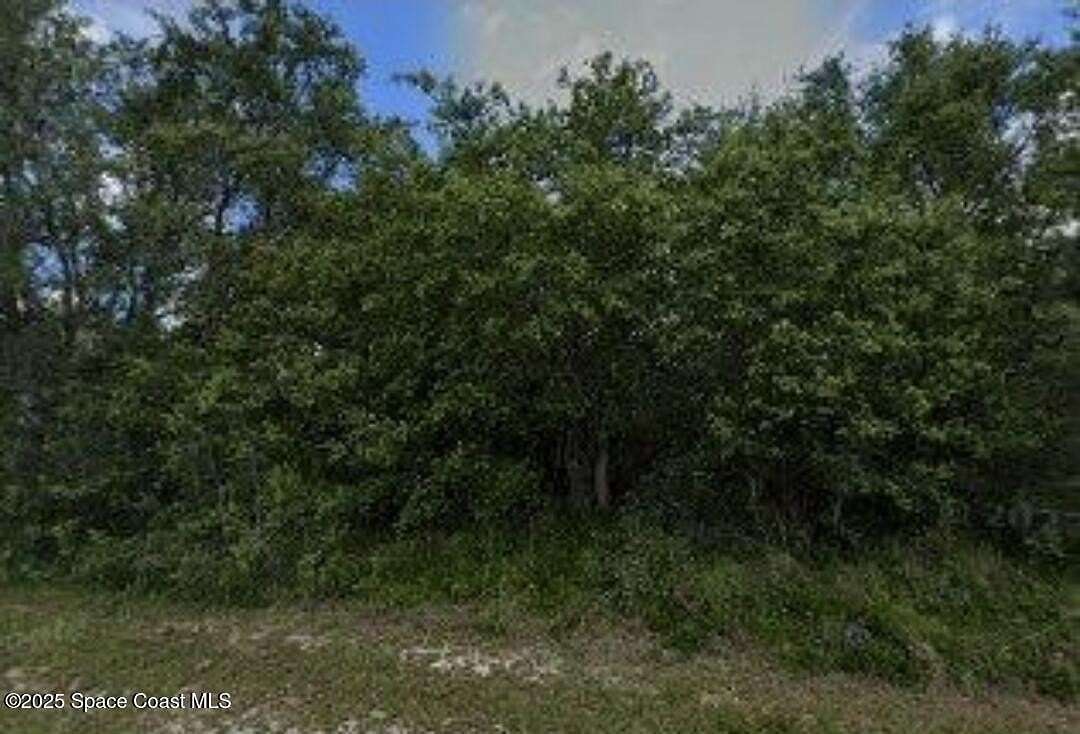 0.23 Acres of Residential Land for Sale in Poinciana, Florida