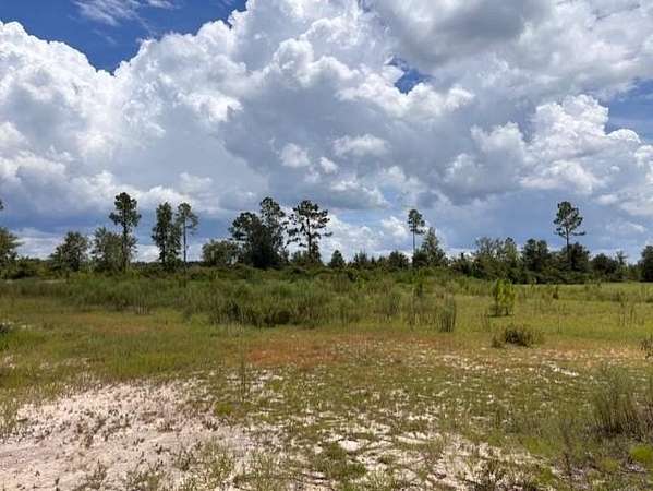 3 Acres of Residential Land for Sale in Lakeland, Georgia