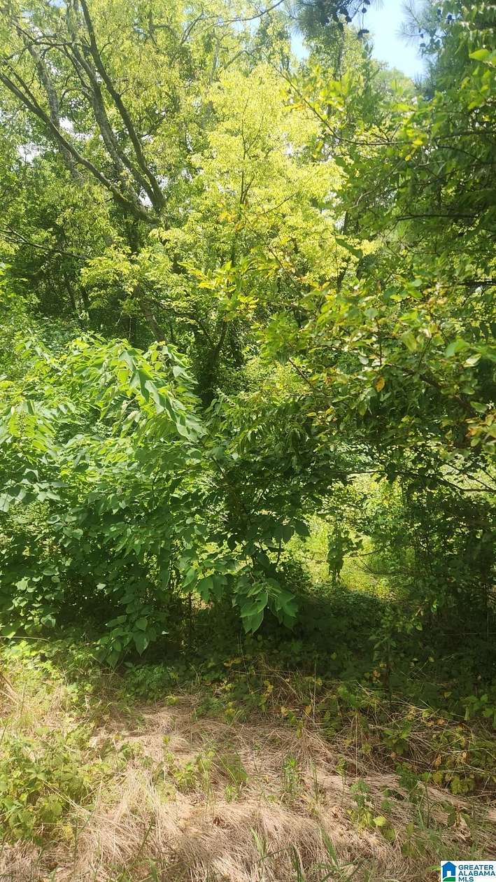 0.43 Acres of Land for Sale in Birmingham, Alabama