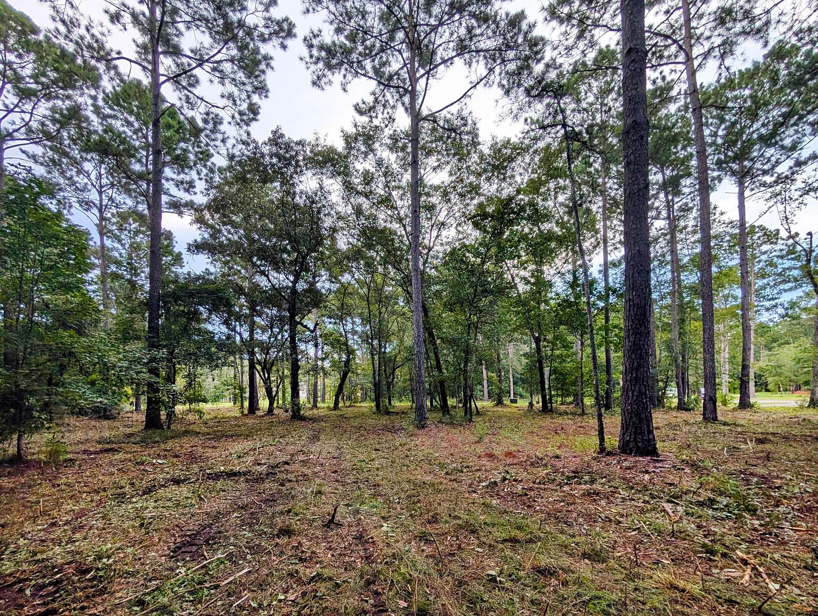 1.9 Acres of Residential Land for Sale in McClellanville, South Carolina