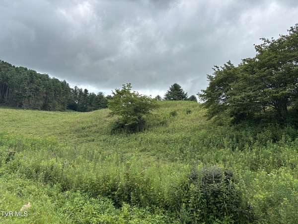 25.1 Acres of Recreational Land & Farm for Sale in Mountain City, Tennessee