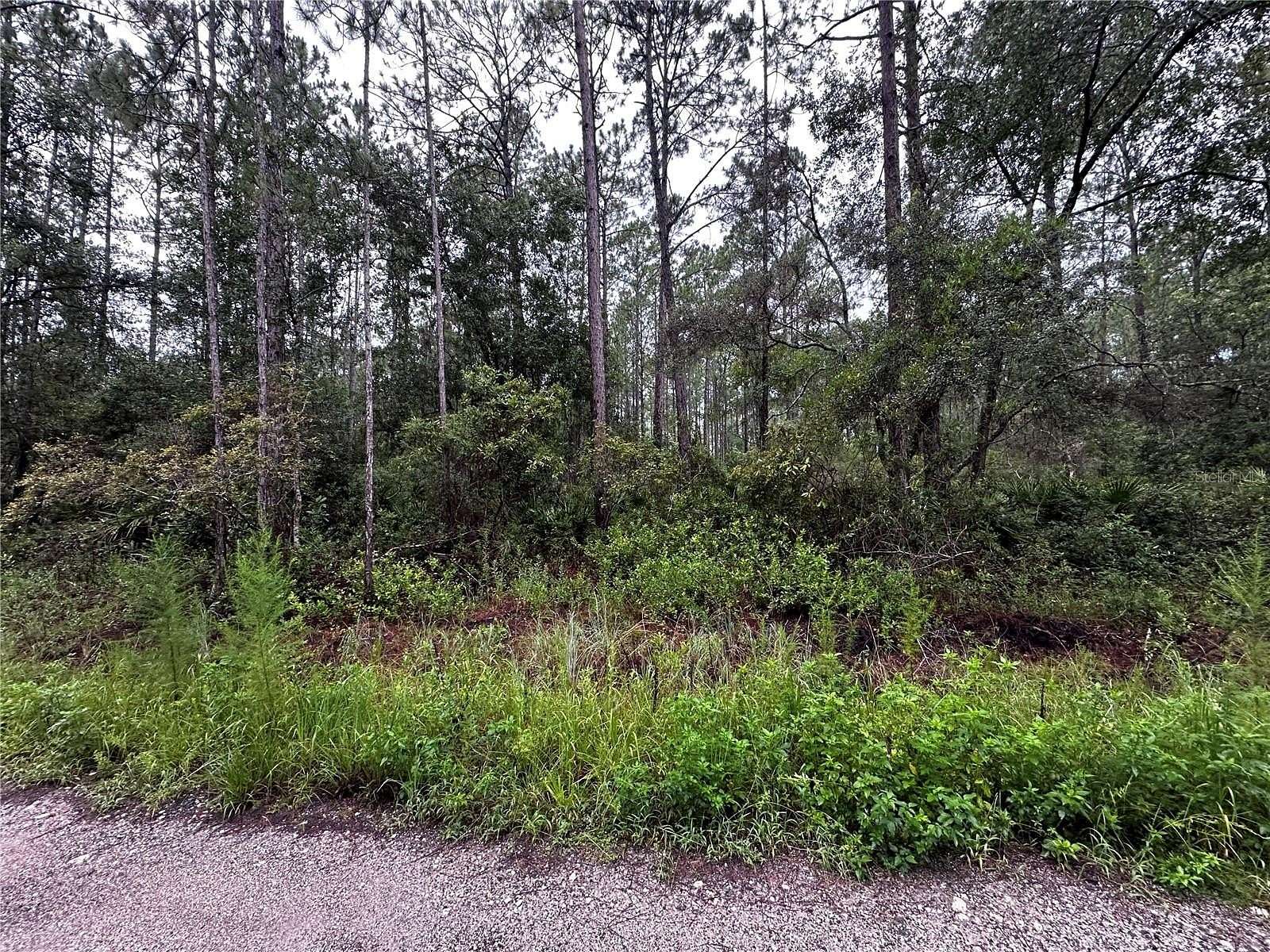 1.22 Acres of Residential Land for Sale in Citra, Florida