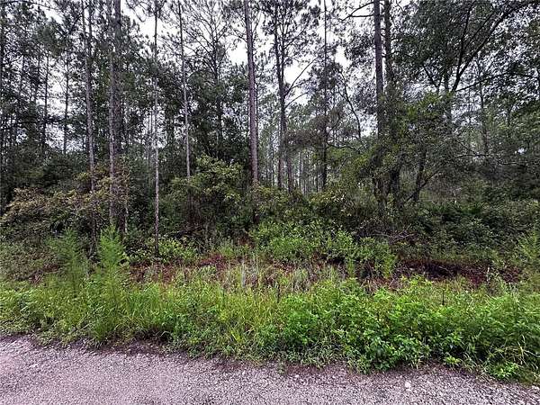 1.22 Acres of Residential Land for Sale in Citra, Florida
