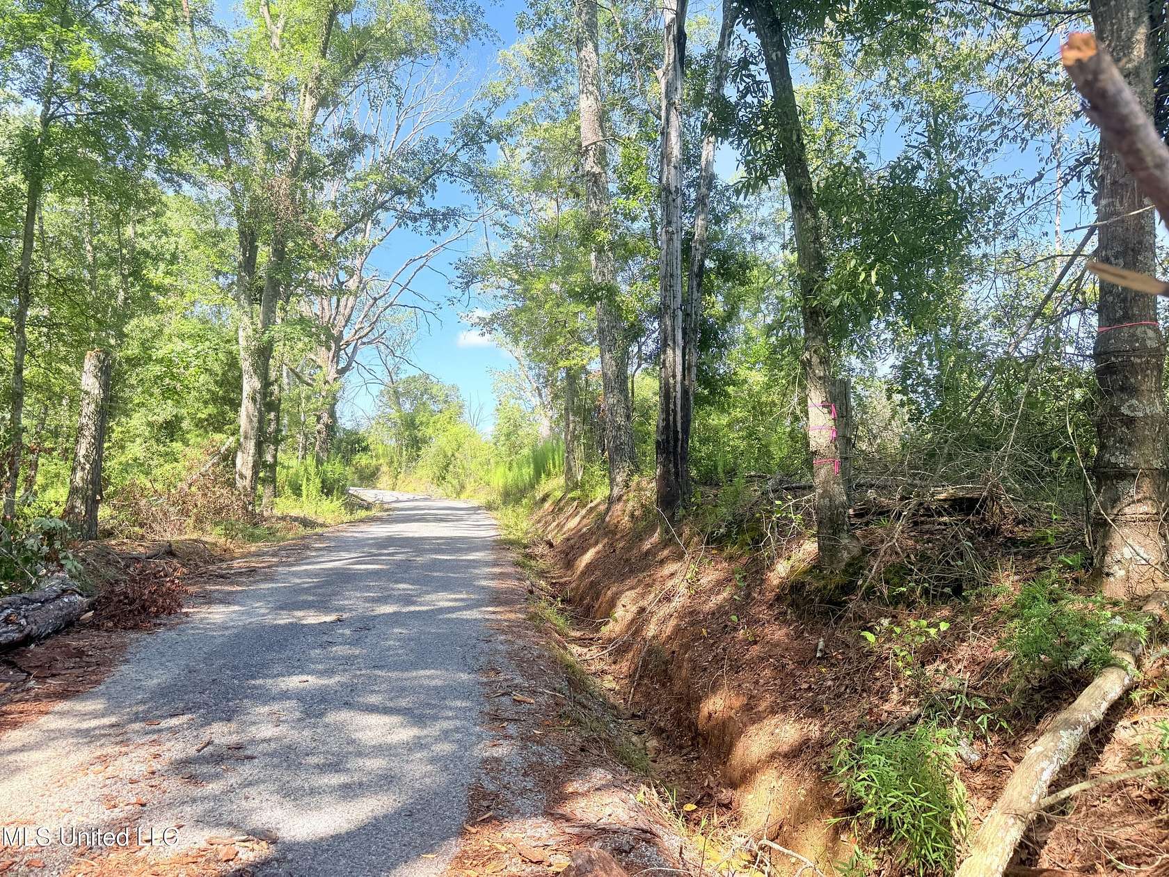 23 Acres of Recreational Land for Sale in Mendenhall, Mississippi