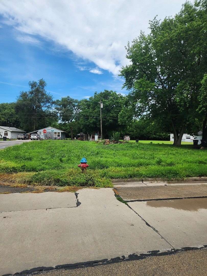 Mixed-Use Land for Sale in Tuscola, Illinois