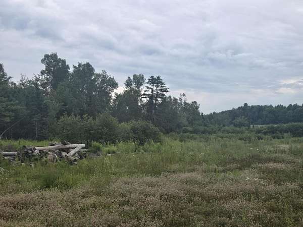 89 Acres of Recreational Land for Sale in Brewer, Maine