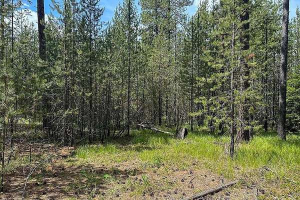 5 Acres of Land for Sale in Valley, Washington