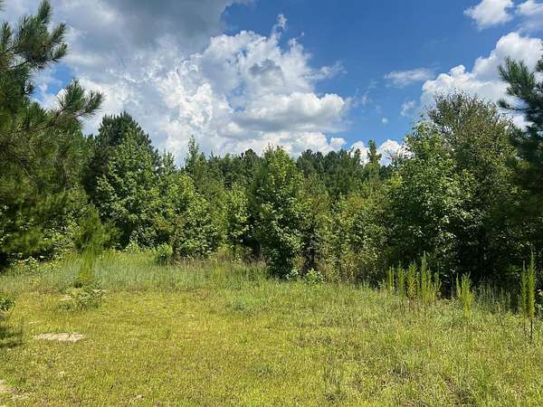 Residential Land for Sale in Warrenton, Georgia
