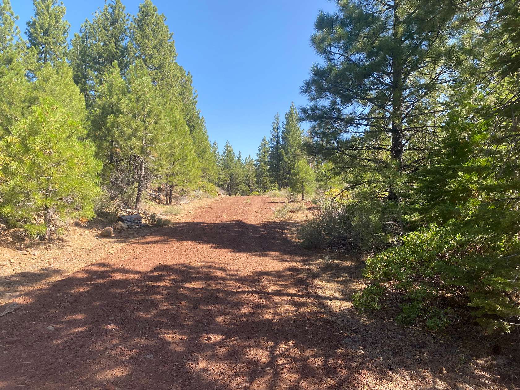 1 Acre of Residential Land for Sale in Alturas, California