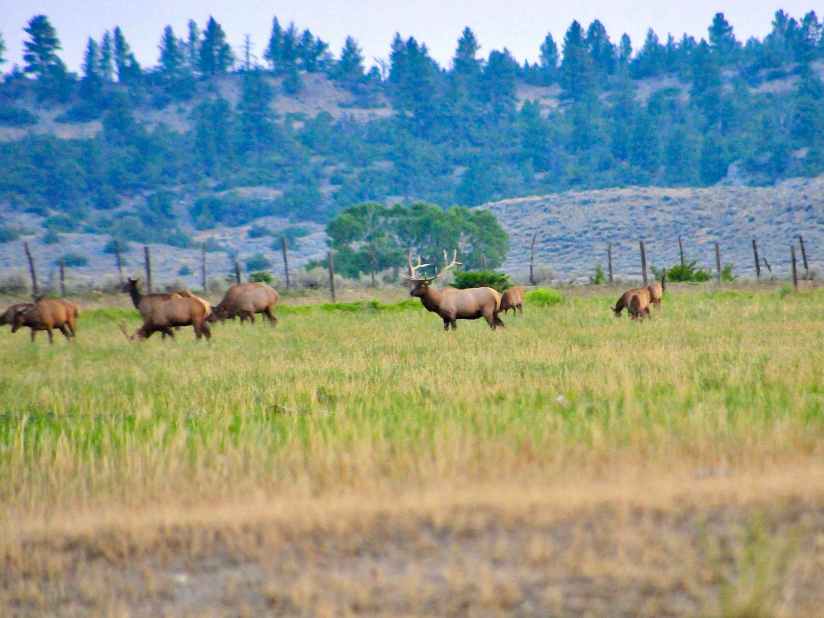 3,206 Acres of Recreational Land & Farm for Sale in Big Timber, Montana
