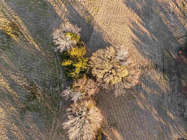 4 Acres of Residential Land for Sale in Winona, Texas