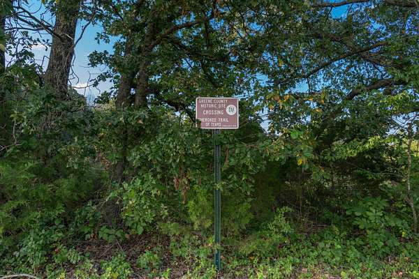 19.3 Acres of Land for Sale in Brookline, Missouri