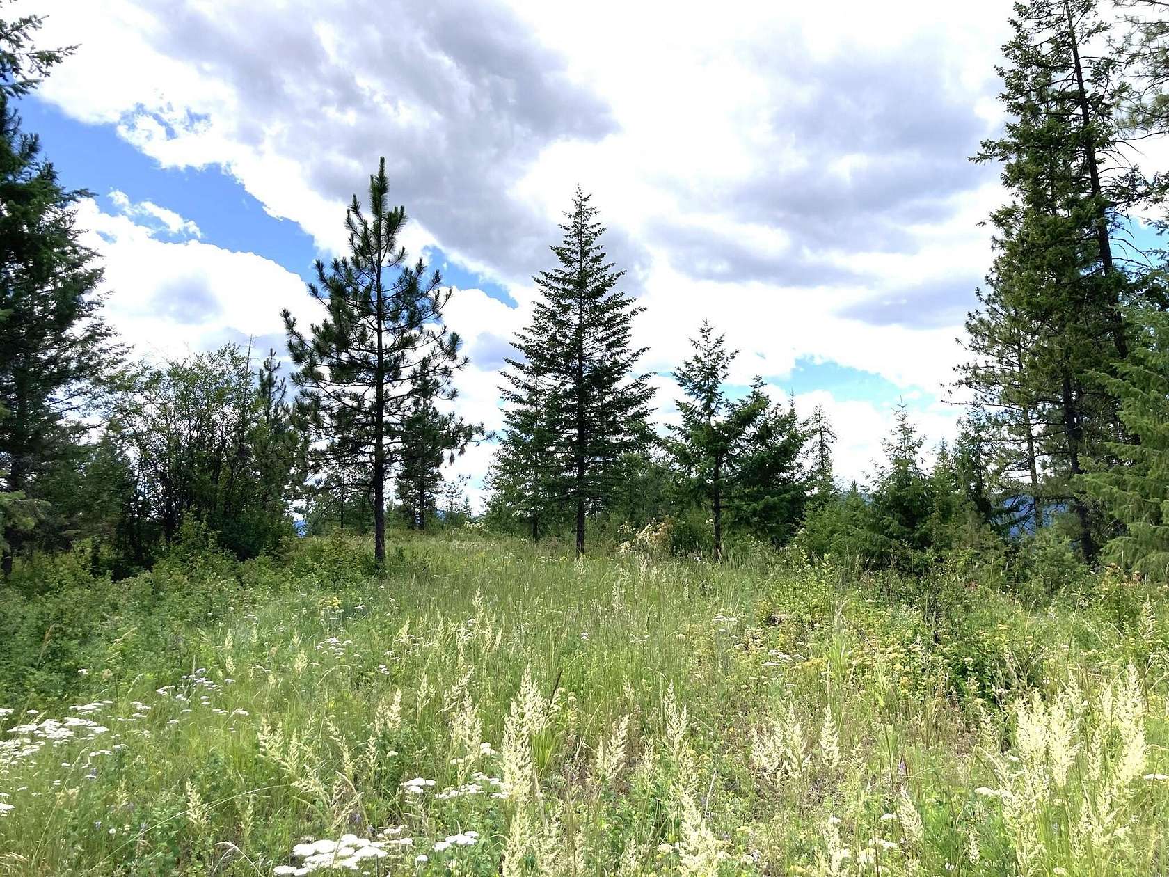 20 Acres of Recreational Land for Sale in Inchelium, Washington